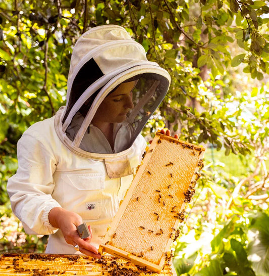 Beekeeper and hive super