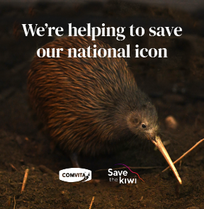 Saving the Kiwi