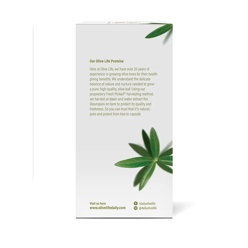 Olive Life Capsule 120s Box Right