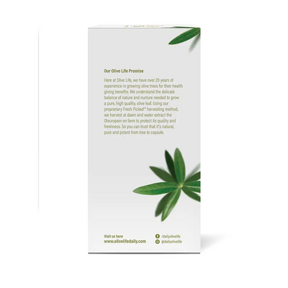 Olive Life Capsule 120s Box Right