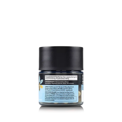 Immune Bee Propolis Regular Strength PFL 15 Veg Capsules R
