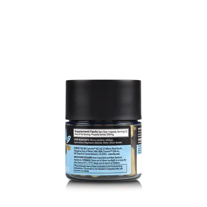Immune Bee Propolis High Strength 1-A-Day PFL 30 Veg Capsules R J