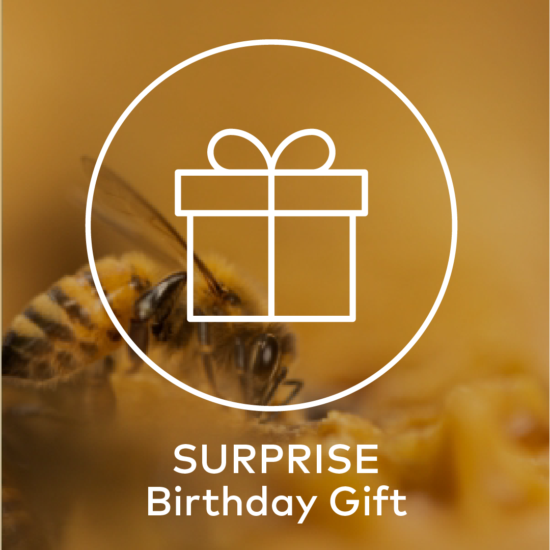 Surprise birthday gift