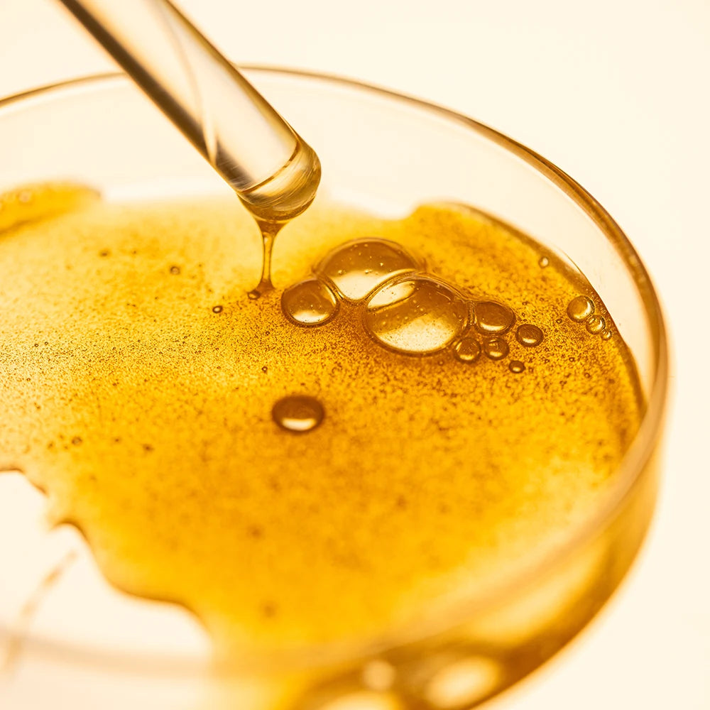 honey in petrie dish