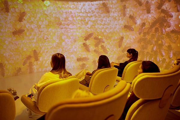 360 degree cinema in the wellness lab