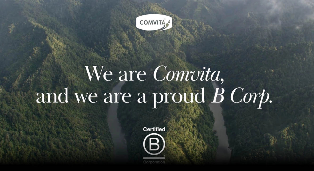 learn more about our b corp certification