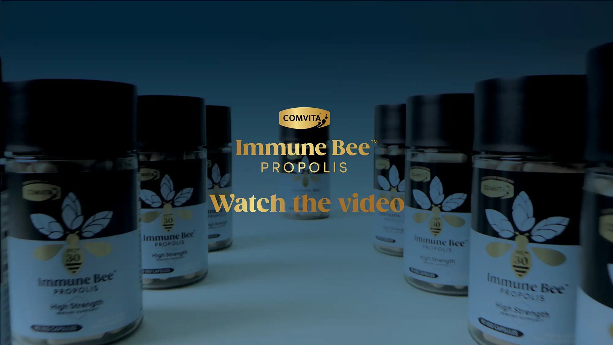 Load video: Propolis Video showing hives and our new product  range in use 