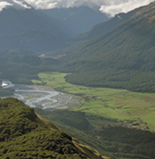 Wairarapa, New Zealand