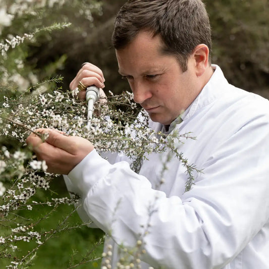Harnessing the power of Mānuka honey to combat Antimicrobial Resistance (AMR)