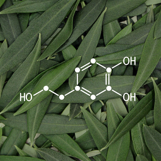 How hydroxytyrosol can support your Health & Wellness