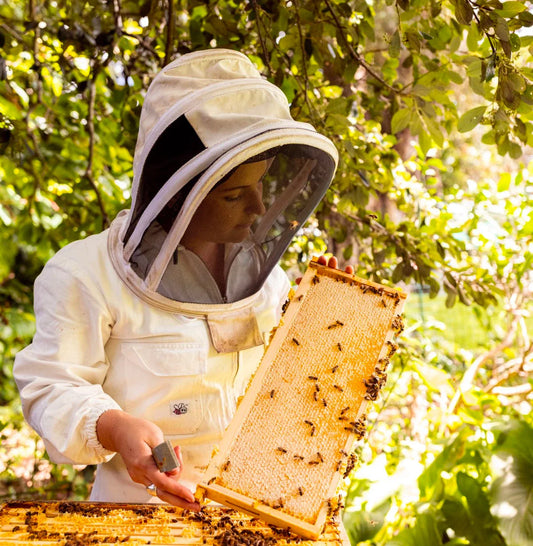 Beekeeper and hive super